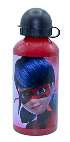 ML Botella de Agua Acero Inoxidable para niños y niñas, Lady Bug cantimplora térmica a Prueba de Fugas sin BPA para Levar a la Escuela y Deportes el Termo/ 500ml (Rojo)