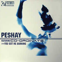 Peshay - Fuzion - Cubik Music Productions