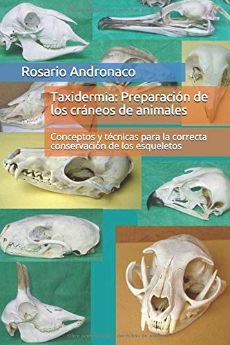 Taxidermia: Preparación de los cráneos de animales: Conceptos y técnicas para la correcta conservación de los esqueletos