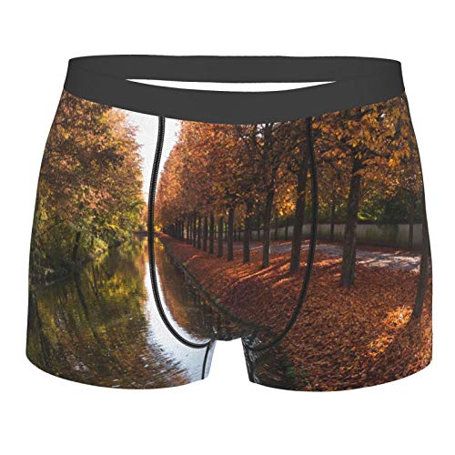VOROY Men Boxer Briefs Camo XX-Large Code, Nature Landscape Water Trees Fall Fallen Leaves River Germany Park ,Briefs For Male Soft Breathable Comfortable Stretch Underwear