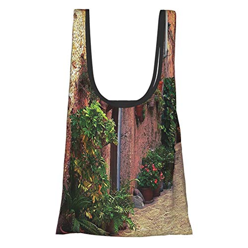 Wanderlust Decor Collection Ancient Street In Valldemossa Village Mallorca Spain Vintage Door Road Tourism Reusable Grocery Bags, Eco-Friendly Shopping Bag