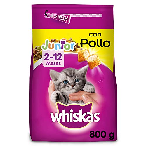 Whiskas Pienso para gatos junior con sabor Pollo (Pack de 5 x 800g)