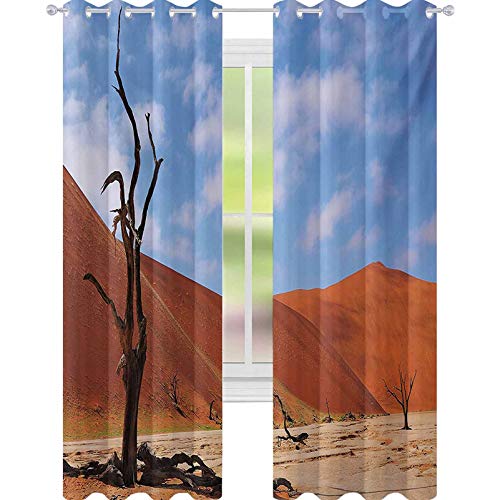 YUAZHOQI - Cortinas opacas con diseño de árbol solitario en Deadvlei Namibia Sandy Desert Landscape Picture 132 cm x 213 cm, para sala de estar, color marrón y azul