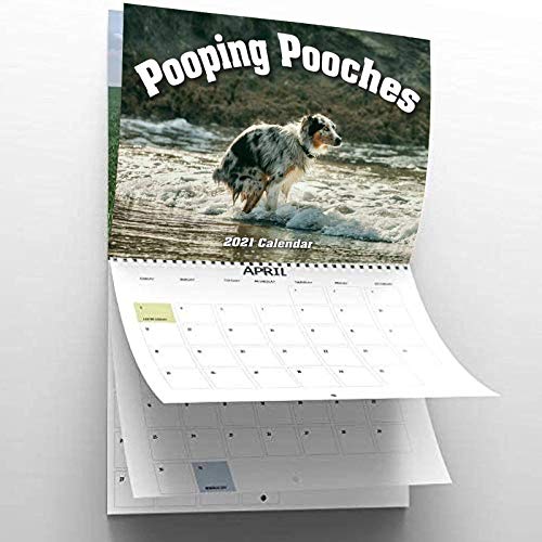 2021 Pooping Pooches Dog Calendar, White Elephant Gag Gift Exchange Yankee Swap Calendar ,2021 Wall Calendar，Wacky calendar