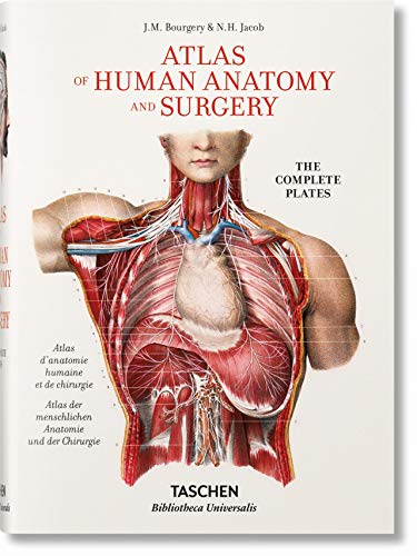 Bourgery. Atlas de anatomía humana y cirugía (español, italiano, portugués): BU (Bibliotheca Universalis)