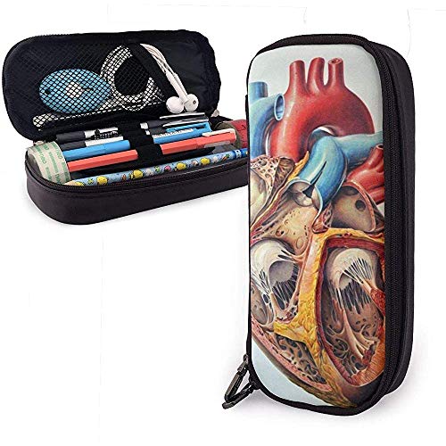 Caja de lápiz de lápiz de carta de corazón de anatomía humana, bolsa de maquillaje de bolsa de lápiz de gran capacidad