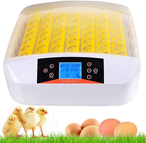 Incubadora Automática de 56 Huevos con Iluminación LED Pantalla Digital y Control Eficiente e Inteligente de Temperatura y Humedad Fácil Manipulación Rotación Automática