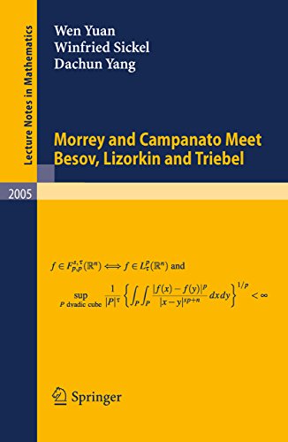 Morrey and Campanato Meet Besov, Lizorkin and Triebel (Lecture Notes in Mathematics Book 2005) (English Edition)