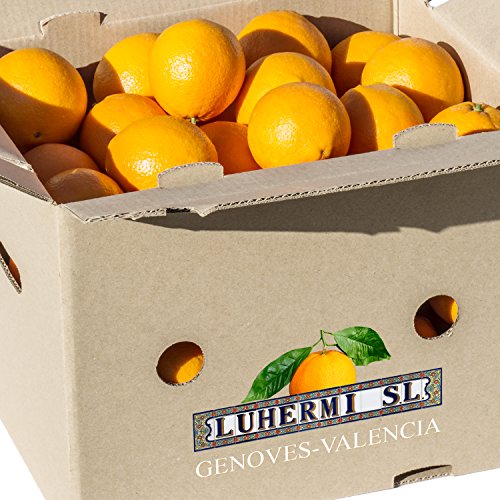 Naranjas maduras para zumo, 20kg con la dulzura apropiada.