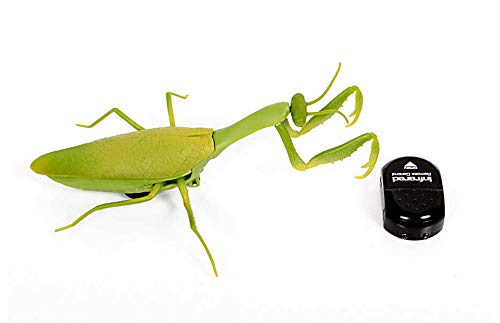 RC TECNIC Mantis Religiosa Insecto Teledirigido con Mando Control Remoto | Cucarachas de Broma Juguetes para Niños