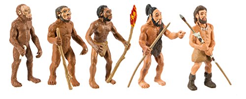 Safari 663816 Evolución del Hombre