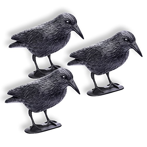 Schramm® 3 Piezas Cuervos sentados Paloma Negra Miedo a los pájaros Miedo a los Cuervos de plástico Defensa de Las Palomas