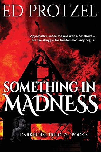 Something in Madness: 3 (Darkhorse Trilogy)