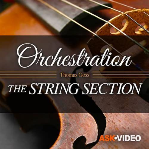String Section Course for Orchestration