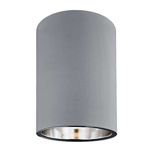 Tyber1 3108 Argon Basic - Lámpara de techo (1 foco, acero lacado), color gris