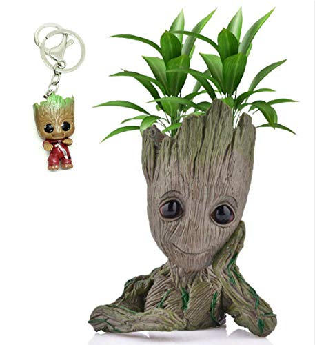 Udream Baby Groot Maceta - Maravillosa Figura de acción de Guardians of The Galaxy para Plantas y bolígrafos - Perfecto como Regalo - Soy Groot