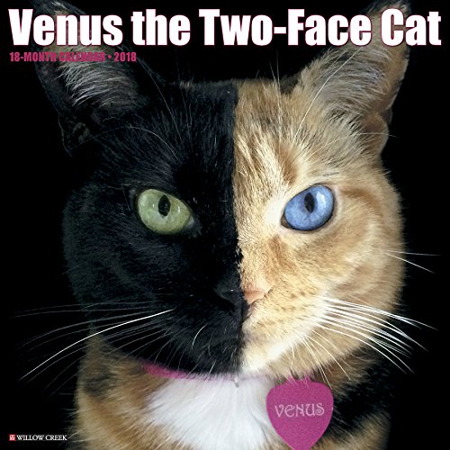 Venus: The Two-Face Cat 2018 Wall Calendar