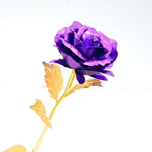 Youngine Creative Madre Regalo del día de 24 K lámina de Oro Rosa Flores Full Blossom Presenta, romántico Regalo para Ella con Caja, Hecho a Mano & Amor dure para Siempre (Púrpura)