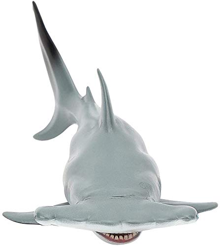 zyh Modelo de Tiburones de plástico,Modelo Educativo,(Nuevo tiburón Martillo Hueco) Educativo para niños