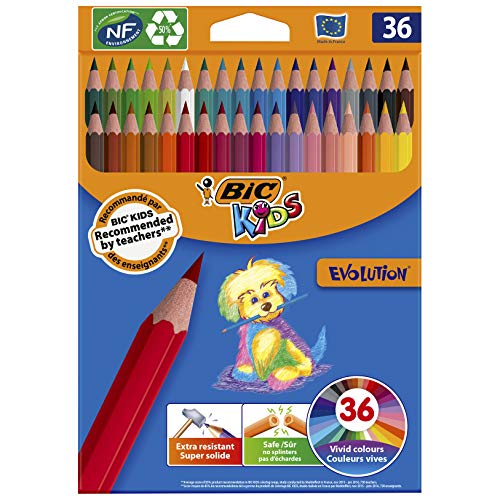 BIC Kids Evolution ECOlutions Lápices para Colorear - colores Surtidos, Blíster de 36 unidades
