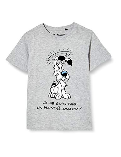 cotton division BOASTECTS002 Camiseta, Gris Melange, 12 años para Niñas