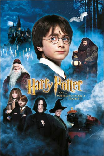 Cuadro de PVC 60 x 90 cm: Harry Potter and The Philosopher’s Stone de Warner Bros. Entertainment GmbH