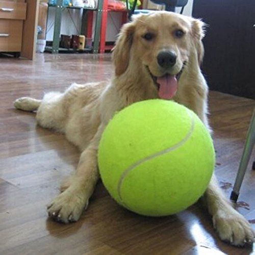 Pelota grande de tenis para perros, 24,1 cm