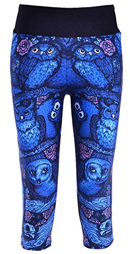 vesliya Women's 3D Digital Print Workout Running Capri Pants Crop Leggings Blue Owls XXXL