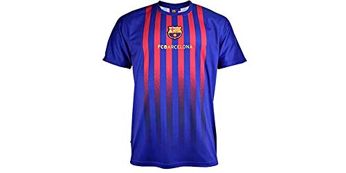 Camiseta Fan 2019 del FC. Barcelona - Producto Oficial Licenciado - Talla XXL - Medidas Pecho 63 - Largo Total 77 - Largo Manga 23 cm.