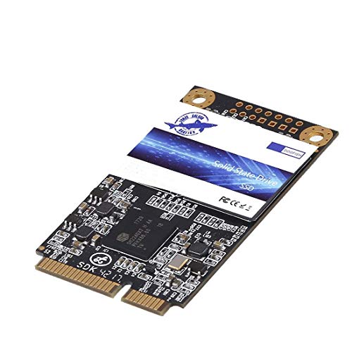 Dogfish SSD Msata 1TB Internal Solid State Drive PC Mini Sata SSD Disk (1TB, MSATA)