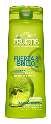 Garnier Fructis Fuerza y Brillo 2en1 Champú - 360 ml
