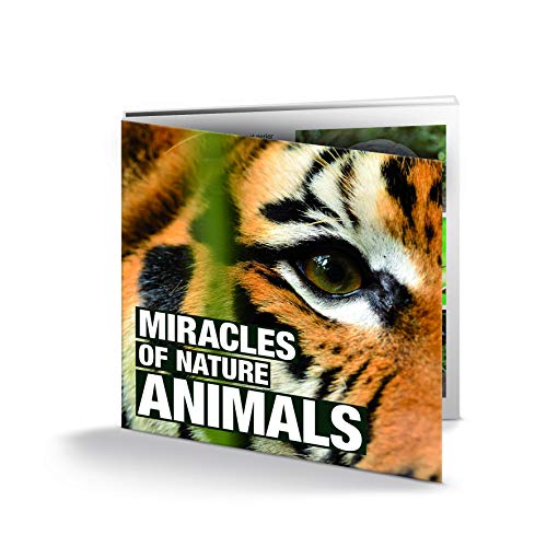 IMPACTO COLECCIONABLES 16 Monedas Originales de Animales, de 16 países Diferentes - Colección Miracles of Nature Animals