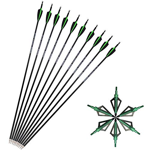 SHARROW 12pcs Flechas de Carbono 30 Pulgadas Spine 500 para Arco Compuesto Recurvo Flechas de Caza (Verde+ 12pcs Broadhead)
