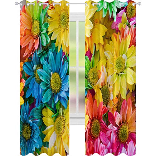 YUAZHOQI Cortinas para sala de estar, diseño de margaritas arco iris, crisantemo, flores de arcoiris y crisantemo, 52 x 241 cm, cortina reductora de ruido