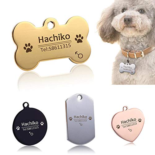 ZYYC Free Engraving Pet Dog Cat Collar Accessories Decoration Pet ID Dog Tags Collars Stainless Steel Cat Tag Customized Tag-D_S