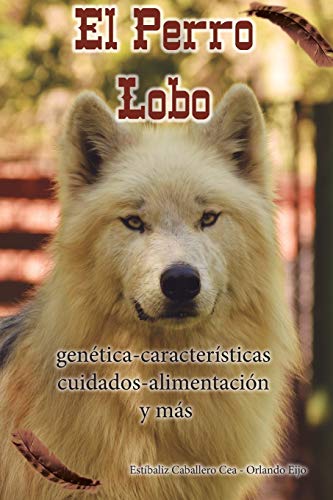 El Perro Lobo: genética - características - cuidados - alimentación y más