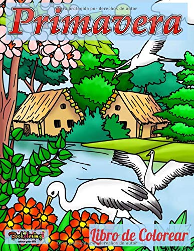Libro de Colorear : Primavera: Libro para colorear con 25 diseños exclusivos de flores, pájaros, mariposas y más para aliviar tu estrés