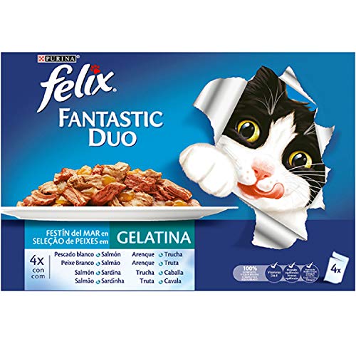 Purina Felix Fantastic Duo Delice - Comida para Gatos en Sobres, Variedad de Pescados, 10 x (4 x 100 g)