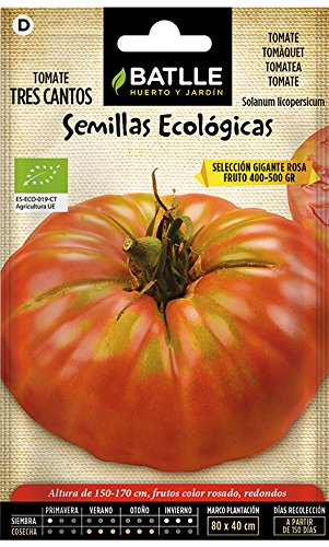 Semillas Ecológicas Hortícolas - Tomate tres cantos gigante rosa - ECO - Batlle