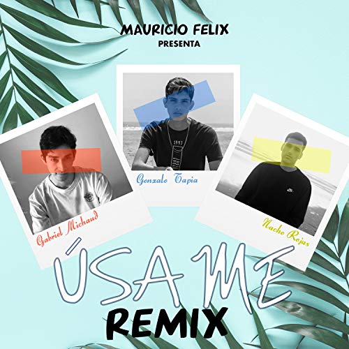 Úsame (feat. Nacho Rojas & French Fries) (Remix)