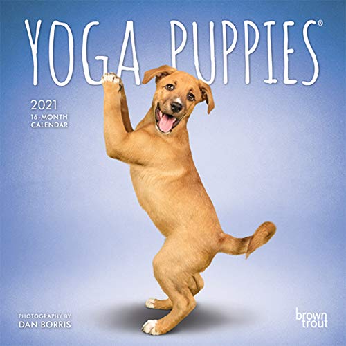 Yoga Puppies 2021 Calendar