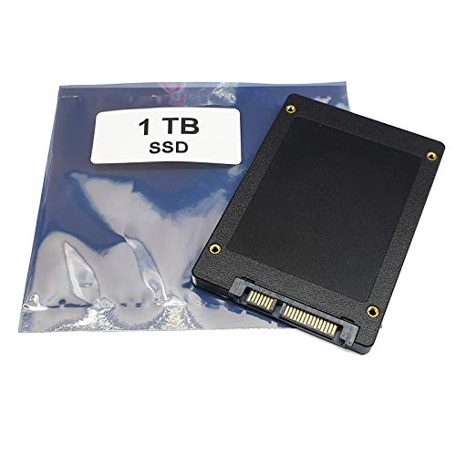 1TB Disco Duro SSD Compatible para Compaq Mini 110-1000 1101 110-1046 1140 | componente Alternativo