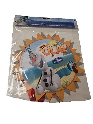 ALMACENESADAN 2269; Piñata viñeta Disney Frozen; Dimensiones 30x20x20; Producto de cartón