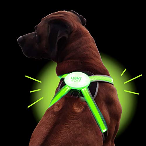 Arnés LED para Perros Recargable por USB con 4 Colores | Chaleco LED para Perros Luminoso + Reflectante | Arnés para Perros pequeños y Grandes Resistente a la Lluvia