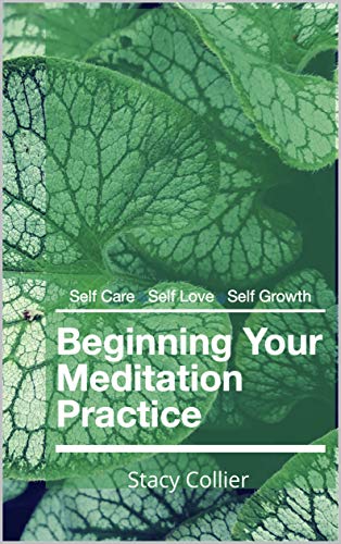 Beginning Your Meditation Practice: The 9 Minute Morning (English Edition)