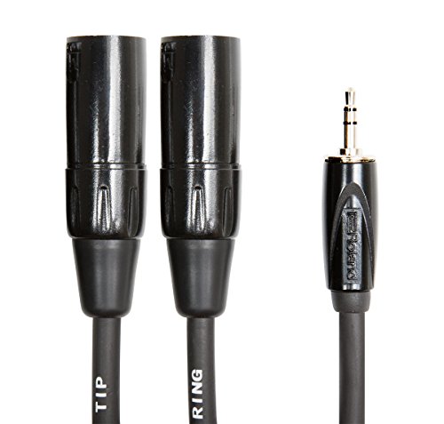 Cable de interconexión balanceado de la serie Black de Roland — De TRS de 1/8 de pulgada a dos conectores XLR macho, 3 m de longitud - RCC-10-352XM