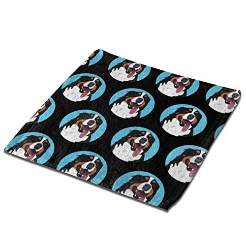 dfegyfr Washcloth Towel Set 2 Pack for Bathroom-Hotel-SPA-Kitchen Multi-Purpose Fingertip Towels & Face Cloths 13'' x 13'', Funny Bernese Mountain Dog Face Black
