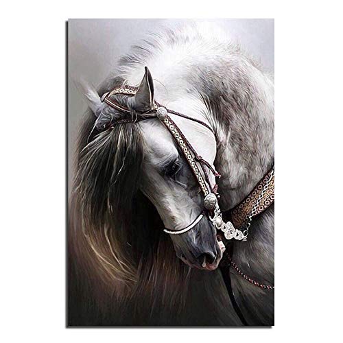 Diy diamante pintura kits de bordado animal caballo punto de cruz rhinestone crystal mosaico bordado fotos decoración del hogar