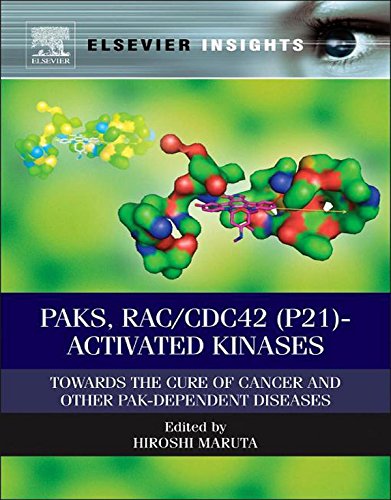 PAKs, RAC/CDC42 (p21)-activated Kinases: Towards the Cure of Cancer and Other PAK-dependent Diseases (Elsevier Insights) (English Edition)