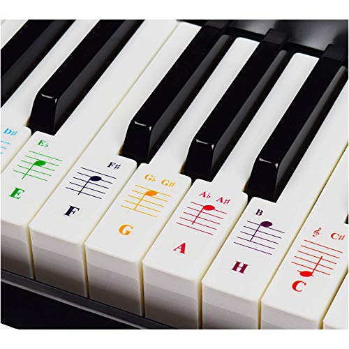 Teclados de piano para teclados 49/61/76/88, transparente y extraíble, incluye E-Book de piano